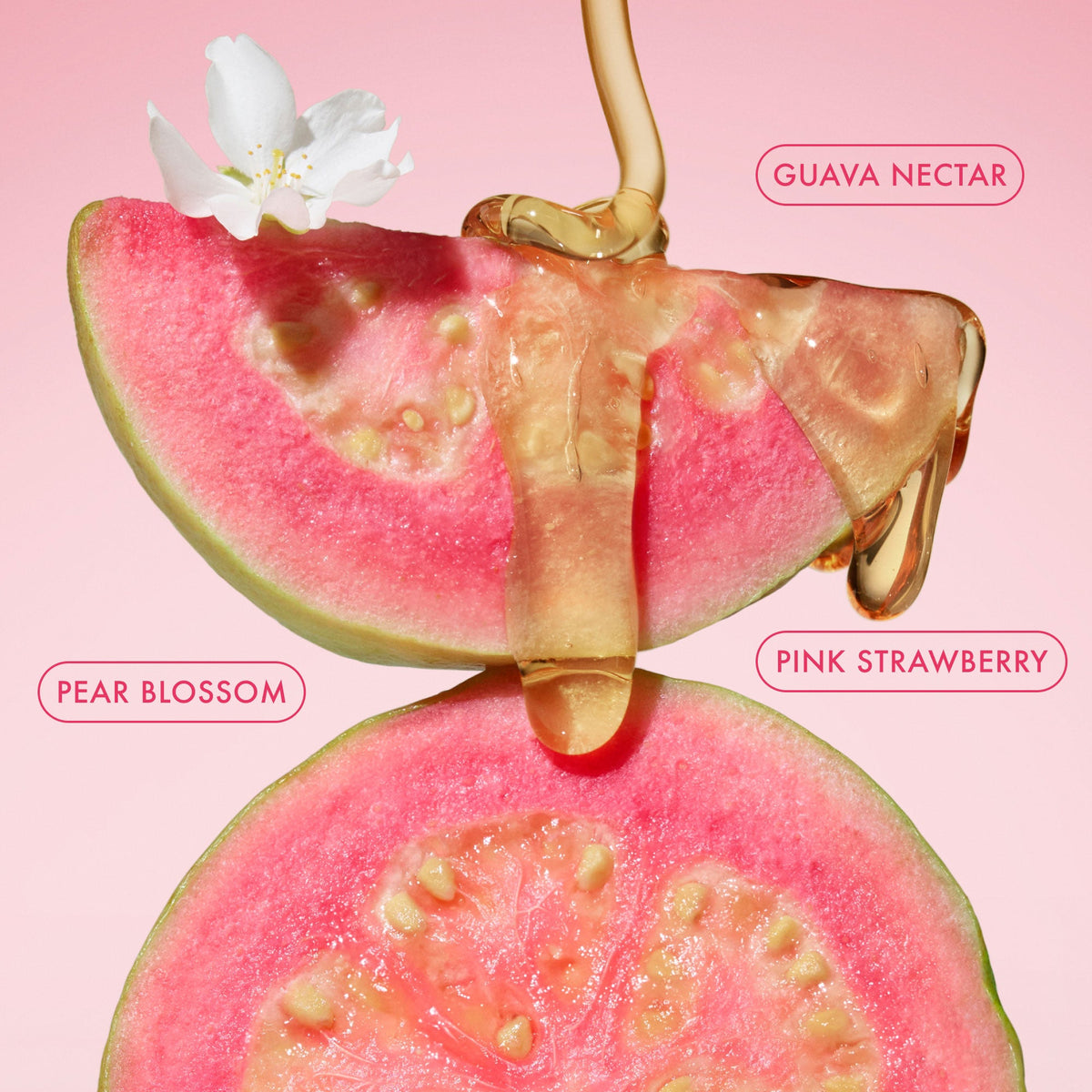 mini-body-butter-trio-k8 BodyButterBalmPinkGuava_3.jpg