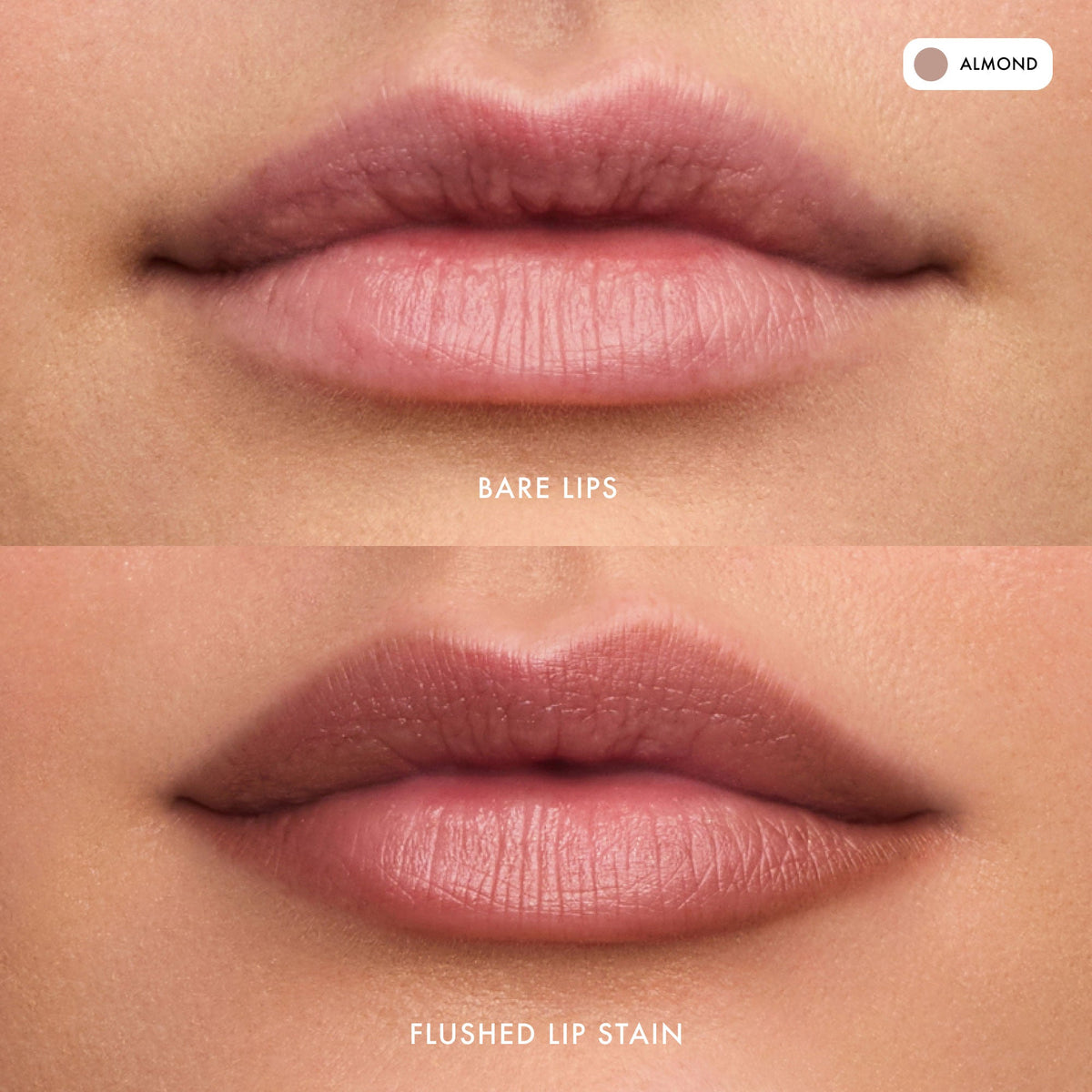 flushed-lip-stain-almond-v5 FlushedLipStain_Almond_B_A.jpg