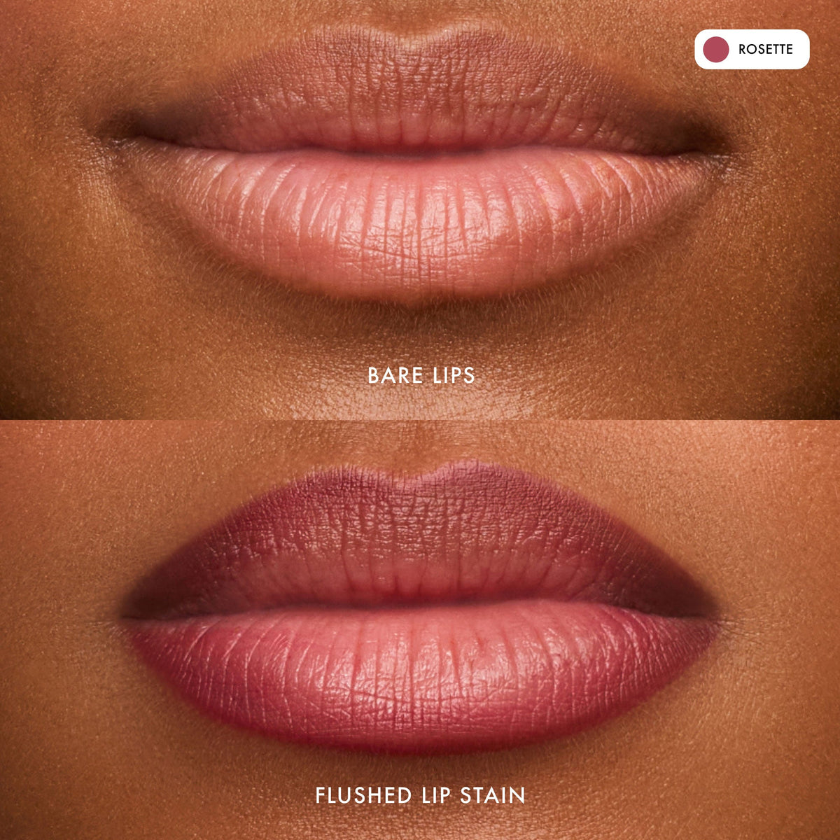flushed-lip-stain-rosette-w6 FlushedLipStain_Rosette_B_A.jpg