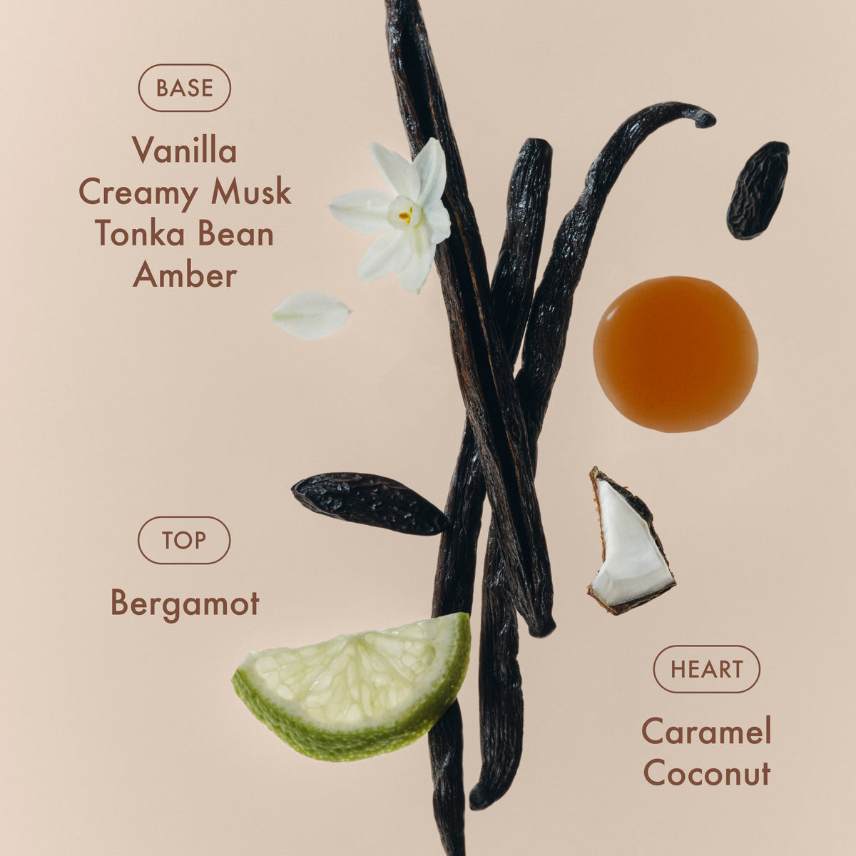 sunlit-vanillatm-eau-de-parfum-x7 SunlitVanilla_4.jpg